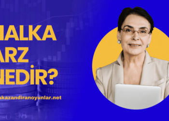 Halka Arz Nedir Şirketler Neden Halka Arz Olur