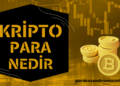 Kripto Para Nedir