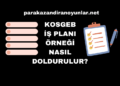 KOSGEB İş Planı Örneği Nasıl Doldurulur