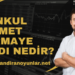 Menkul Kıymet Sermaye İradı Nedir