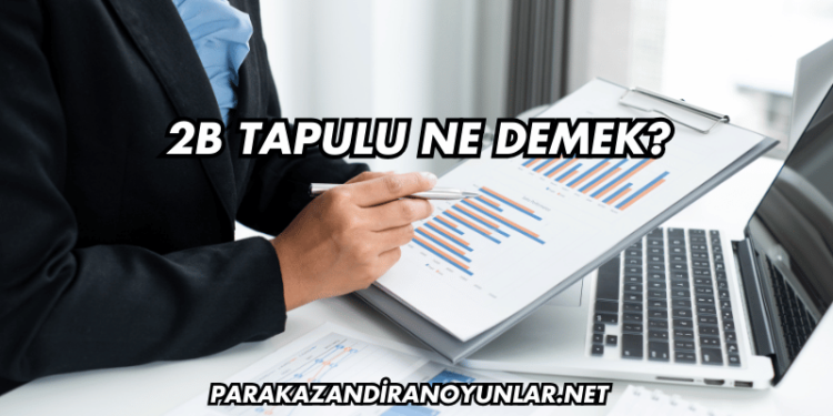2B Tapulu Ne Demek?