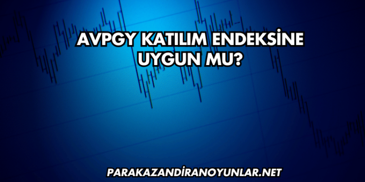 AVPGY Katılım Endeksine Uygun mu?