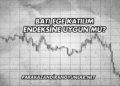 Batı Ege Katılım Endeksine Uygun mu?