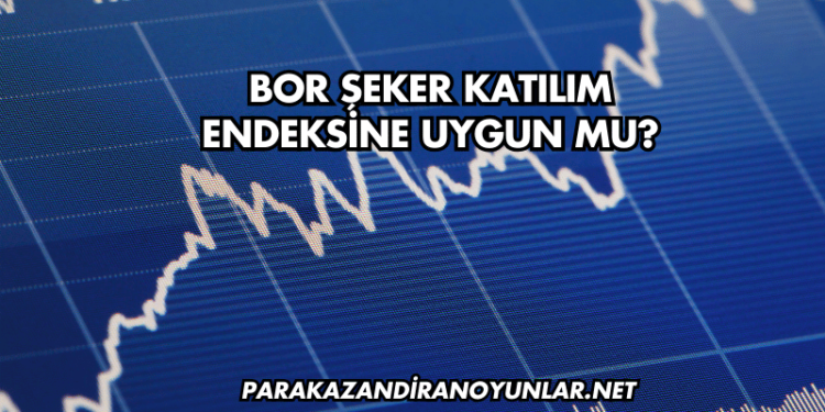 Bor Şeker Katılım Endeksine Uygun mu?