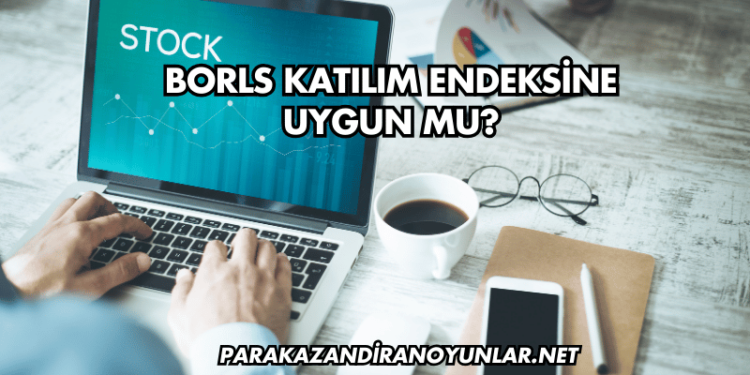 Borls Katılım Endeksine Uygun mu?