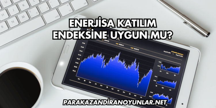 Enerjisa Katılım Endeksine Uygun mu?