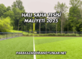 Halı Saha Tesisi Maliyeti 2025
