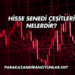 Hisse Senedi Çeşitleri Nelerdir?