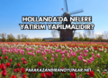 Hollanda'da Nelere Yatırım Yapılmalıdır?