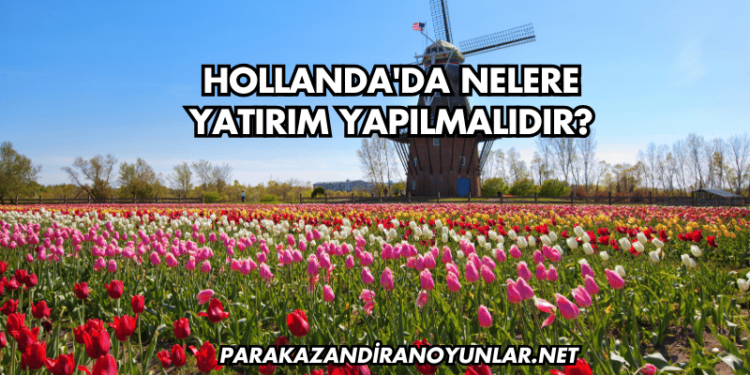 Hollanda'da Nelere Yatırım Yapılmalıdır?