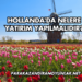 Hollanda'da Nelere Yatırım Yapılmalıdır?
