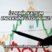 İzdemir Katılım Endeksine Uygun mu?