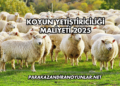 Koyun Yetiştiriciliği Maliyeti 2025