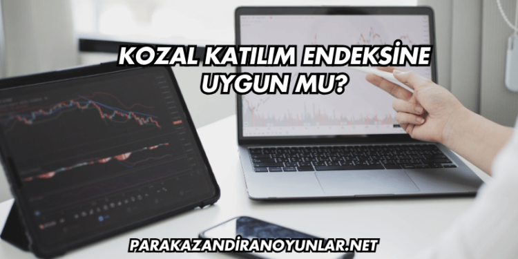 Kozal Katılım Endeksine Uygun mu?