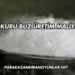 Kuru Buz Üretim Maliyeti