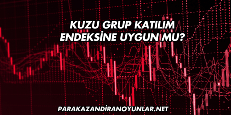 Kuzu Grup Katılım Endeksine Uygun mu?