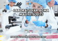 Laboratuvar Açma Maliyeti 2025