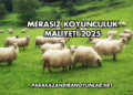 Merasız Koyunculuk Maliyeti 2025