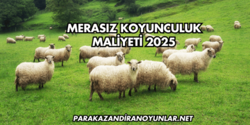 Merasız Koyunculuk Maliyeti 2025