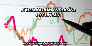 Patek Katılım Endeksine Uygun mu?