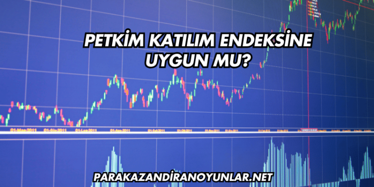 Petkim Katılım Endeksine Uygun mu?