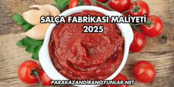 Salça Fabrikası Maliyeti 2025
