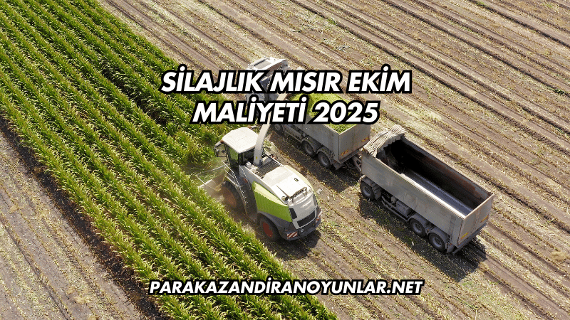 Silajlık Mısır Ekim Maliyeti 2025