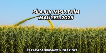 Silajlık Mısır Ekim Maliyeti 2025