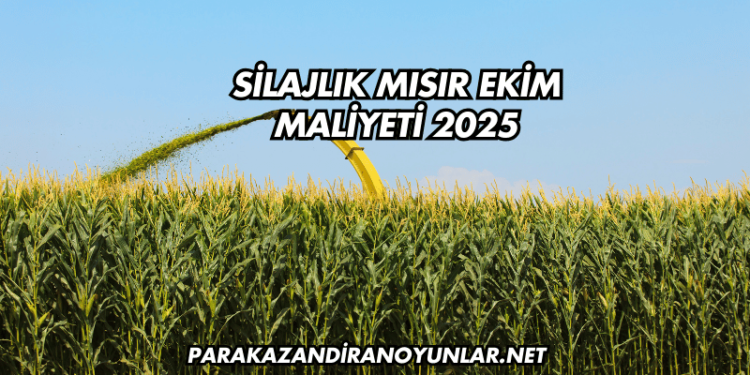 Silajlık Mısır Ekim Maliyeti 2025
