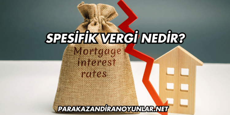 Spesifik Vergi Nedir?