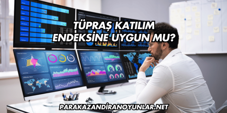 Tüpraş Katılım Endeksine Uygun mu?