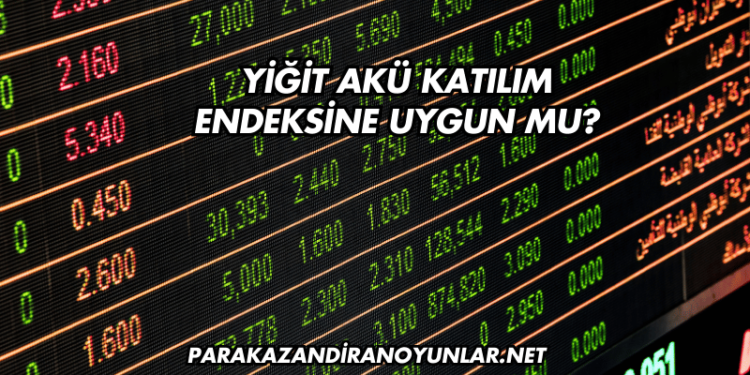 Yiğit Akü Katılım Endeksine Uygun mu?
