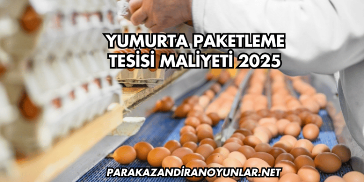Yumurta Paketleme Tesisi Maliyeti 2025