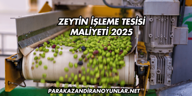 Zeytin İşleme Tesisi Maliyeti 2025