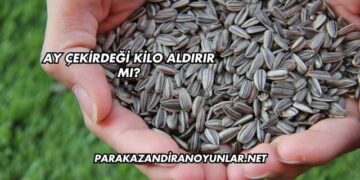 Ay Çekirdeği Kilo Aldırır mı?